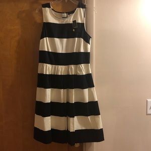 Dress from the limited